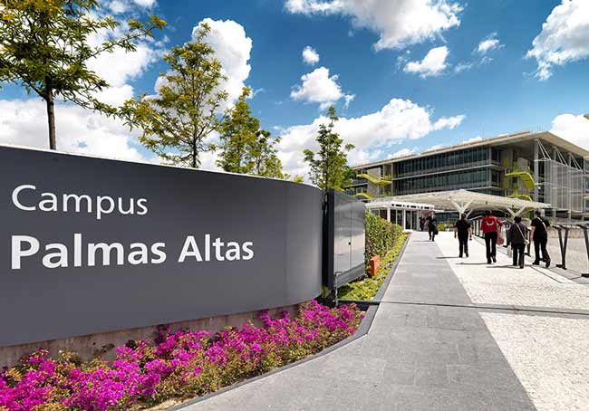 campus-palmas-altas
