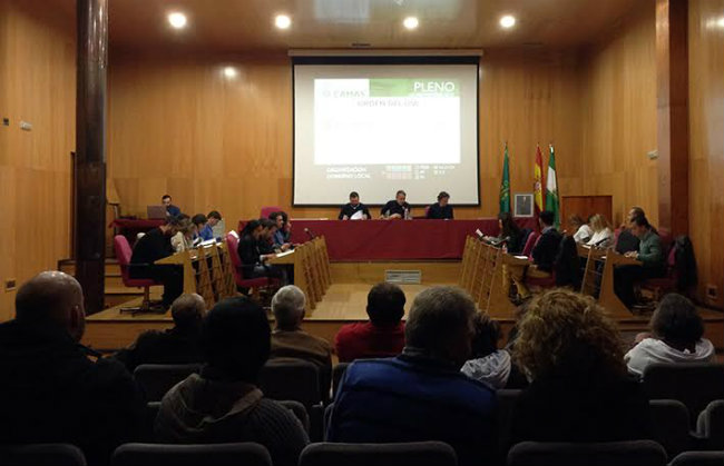 pleno-noviembre-2015-Camas