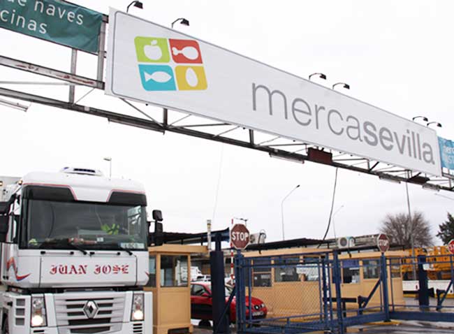 mercasevilla-2015