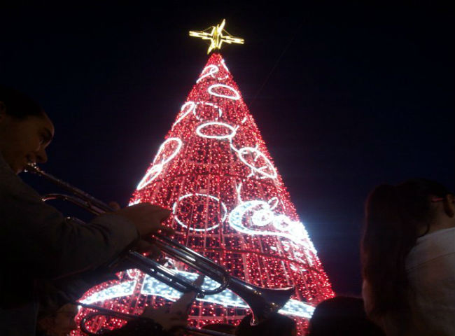 árbol-navidad-comisionada-twitter