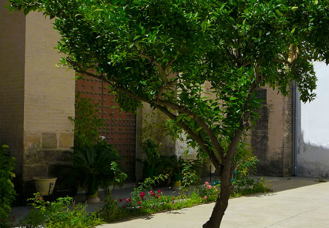 sala-santa-ines-interior-junta