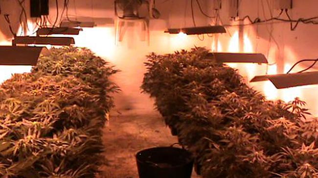 marihuna-dos-hermanas