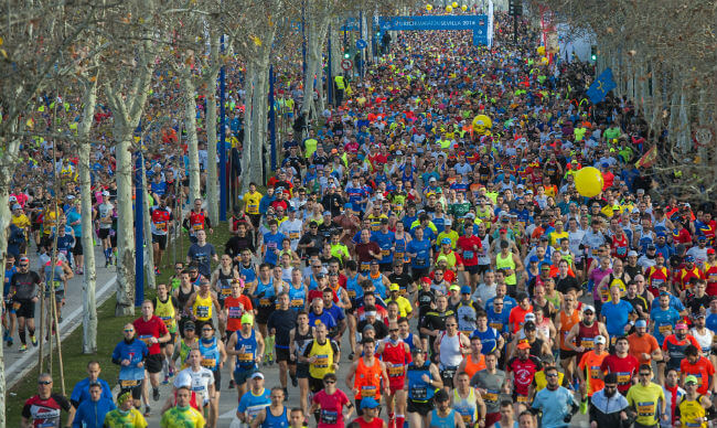 maraton-sevilla-2016-corredores-juan-jose-ubeda