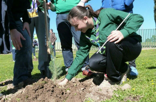 planacion-pinos-alamillo-28f