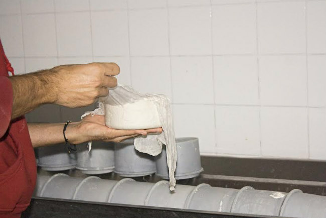 queso-montes-granadinos