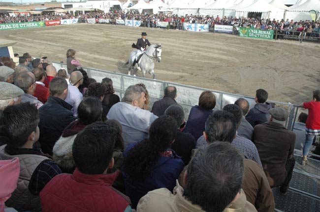 Feria-Agroganadera-y-del-Flamenco-de-Los-Palacios-y-Vfranca-9