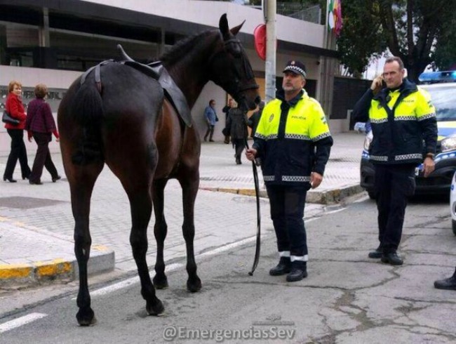 caballo-policia-feria