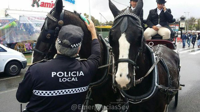 controles-policia-local-sevilla