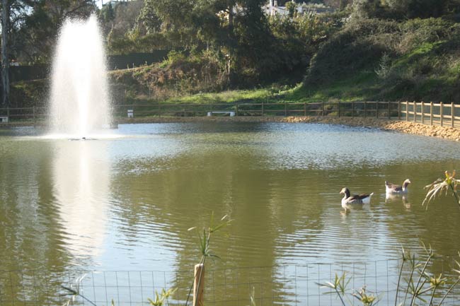 parque-cross-obras-finales