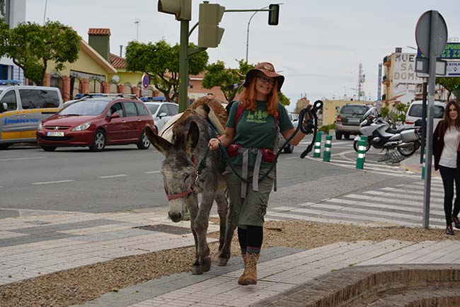 peregrina-bormujos-burrito