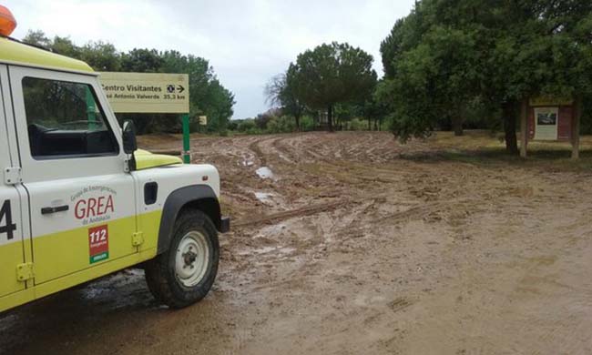 caminos-rocio-sevilla-112