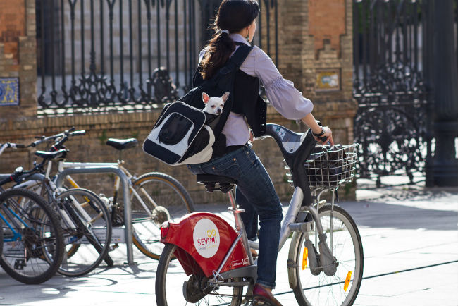 ciclista-sevilla-claudio-olivares-molina-flickr