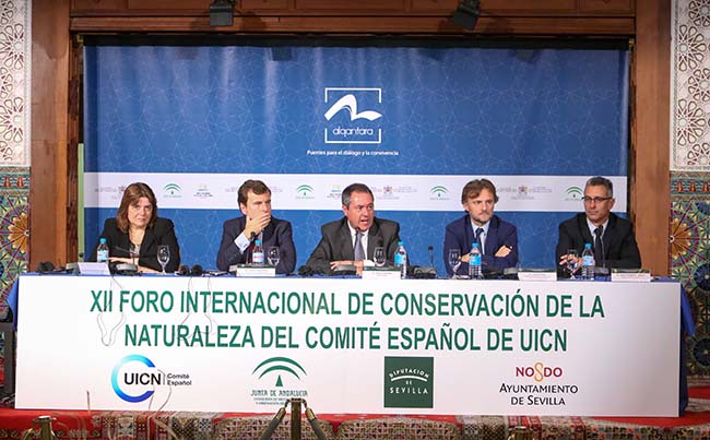 espadas-foro-naturaleza