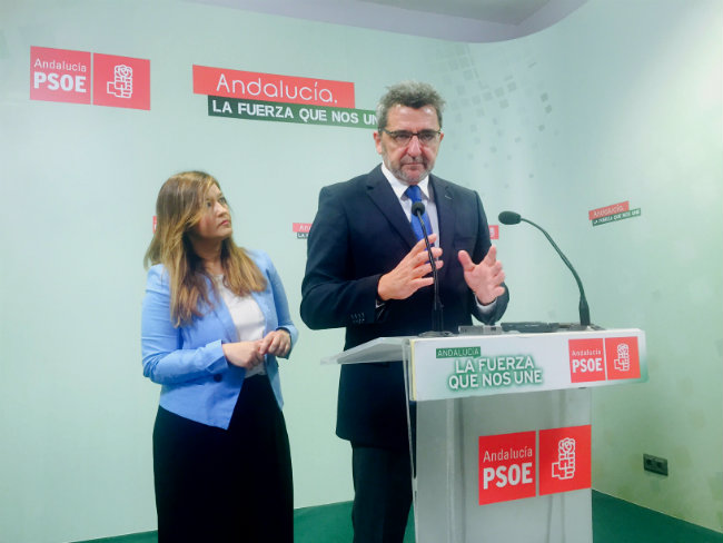 limones-veronica-perez-rp-dimision