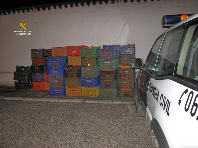 naranjas-venta-ilegal