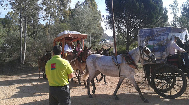 regreso-hermandades-filiales