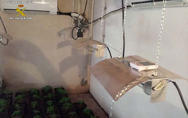 invernadero-droga-mairena-aljarafe