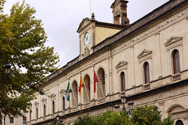 ayuntamiento-sevilla-harvey-barrison