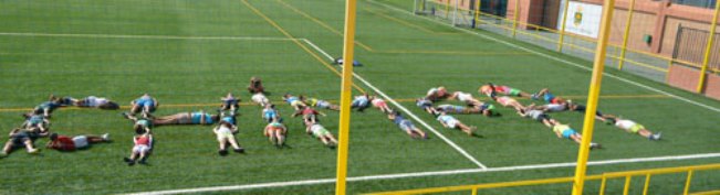 chimpa-bormujos-explotacion