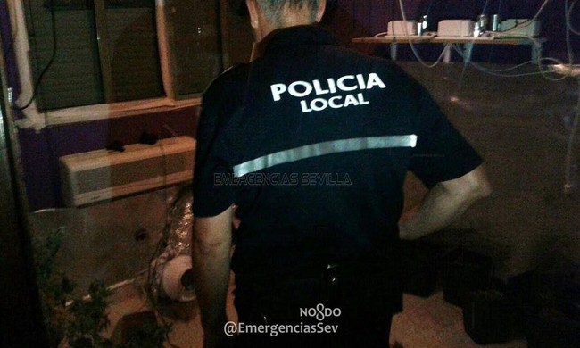 detenido por marihuana 1