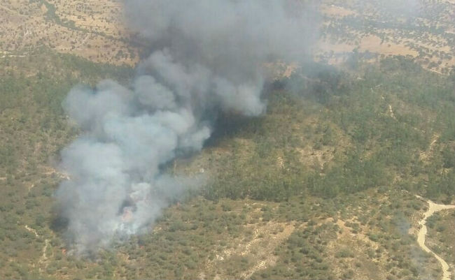 incendio-castillo-guarddas-agosto16-infoca