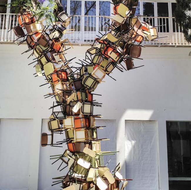 arbol-aparicio-cicus