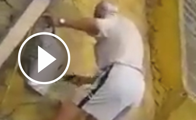 hombre-matando-perros-alcala