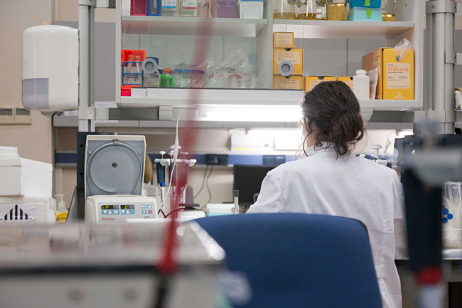 investigadores-salud