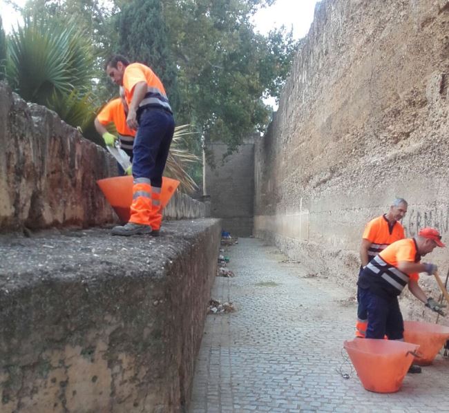 limpieza-muralla-macarena