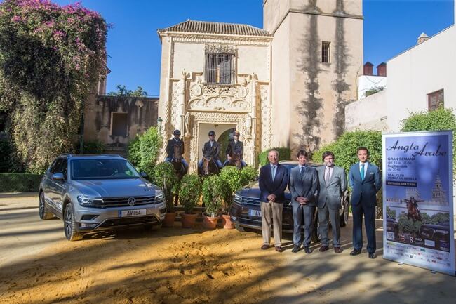 semana-caballo-anglo-arabe