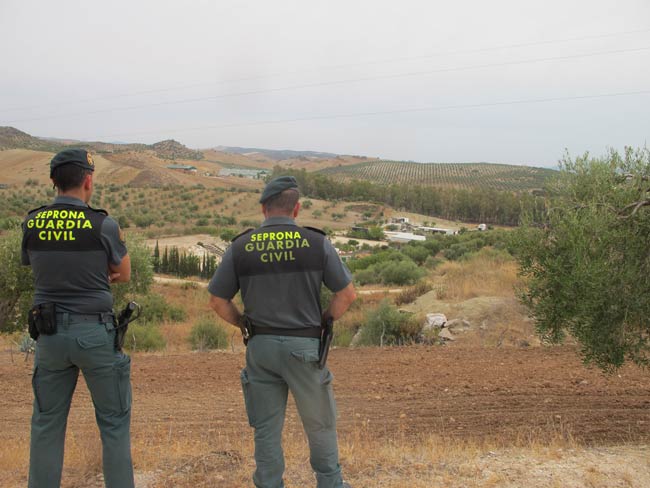 urbanizacion-ilegal-moron