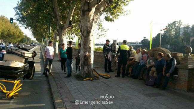 accidente-coche-caballos-turismo-emergencias-sevilla
