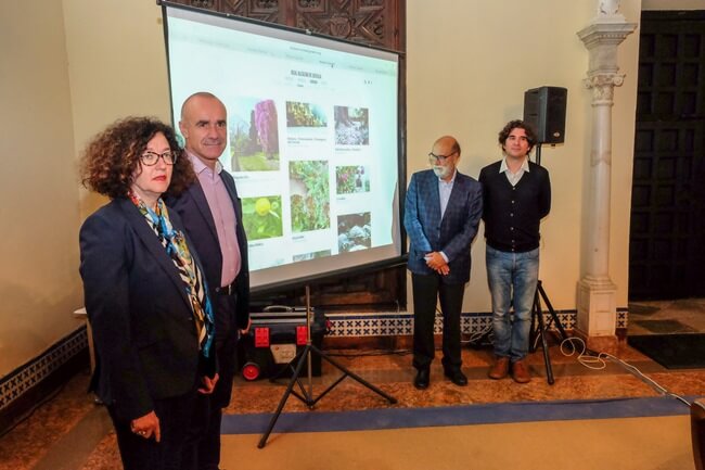 nomad-garden-alcazar-sevilla
