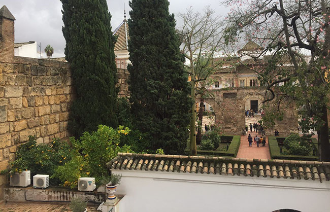 patio-leon-alcazar