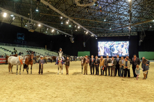 sicab-2016-entrega-premios