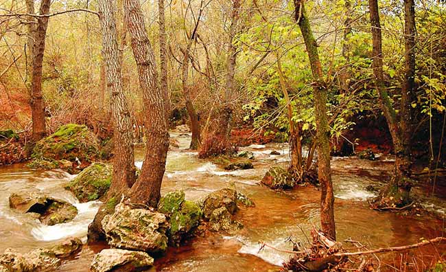 via-verde-sierra-norte-sevilla-2