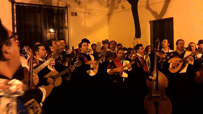 tunas-inmaculada-sevilla-2