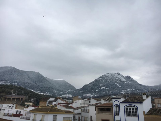 Algamitas-tras-la-nevada-de-ayer-Ayuntamiento