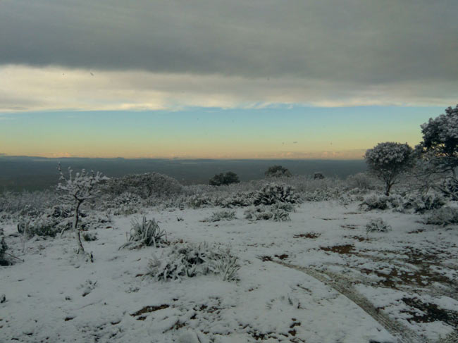 Nevada-en-montellano-maria-luisa-vazquez
