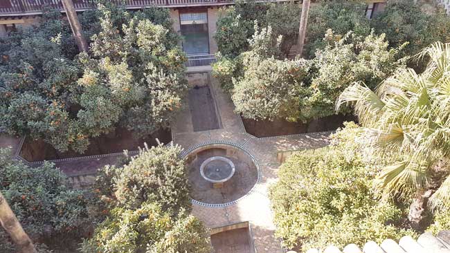 Patio-Almohade-Contratacion