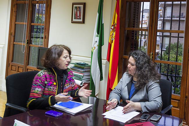 Reunion-delegada-del-gobierno-y-comisionada