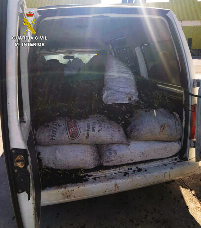 hurto-aceitunas-estepa-osuna