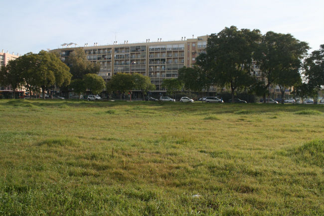 rojas solar sevillaeste5