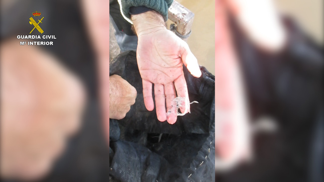 Op Baetis Sevilla Editada.Imagen-fija006