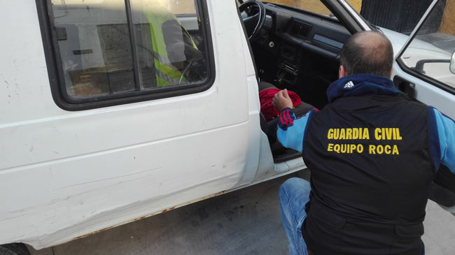 aceitunas-robadas-osuna