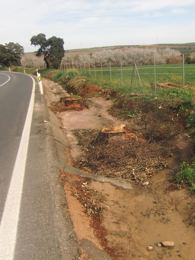 talaencinaspilas-carrion