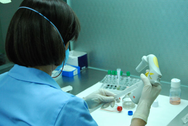 investigacion cancer