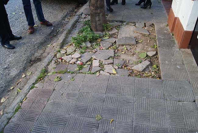 visita-pp-heliopolis