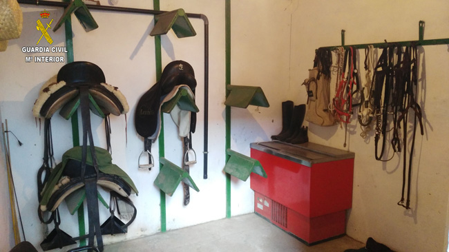 ROBO-FINCA-CABALLOS-1