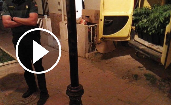 cultivo-marihuana-guillena